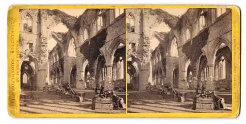 Stereo-Fotografie Francis Bedford, Ansicht Tinter, Tintern Abbey, view across the Nave