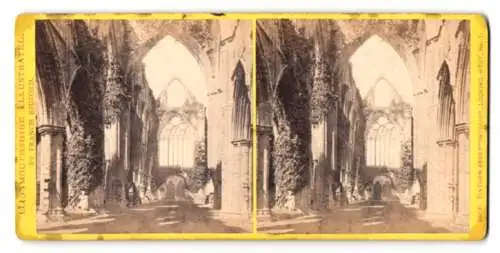 Stereo-Fotografie Francis Bedford, Ansicht Tintern, Tintern Abbey, interior, looking West