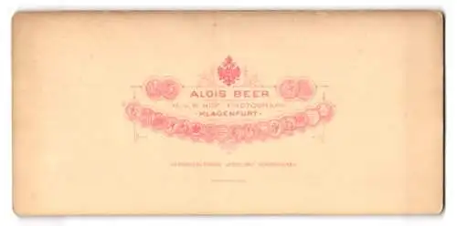 Stereo-Fotografie Alois Beer, Klagenfurt, Ansicht Salzburg, Pass Lueg