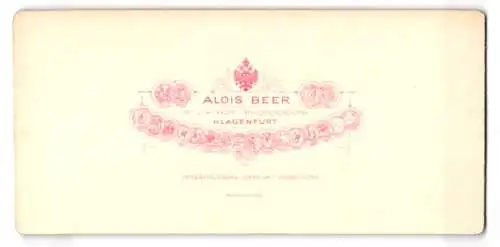 Stereo-Fotografie Alois Beer, Klagenfurt, Ansicht Salzburg, die Pferdeschwemme