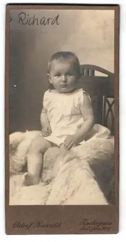 Fotografie Adolf Zierold, Zschopau, Baby Richard im weissen Kleid mit grossem runden Kopf