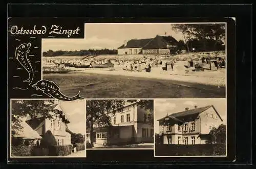 AK Zingst / Ostsee, Strand mit Besuchern