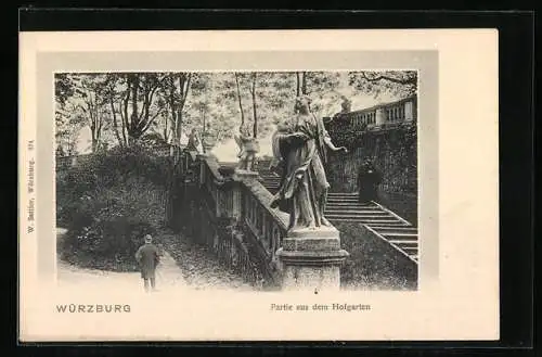 AK Würzburg, Partie aus dem Hofgarten