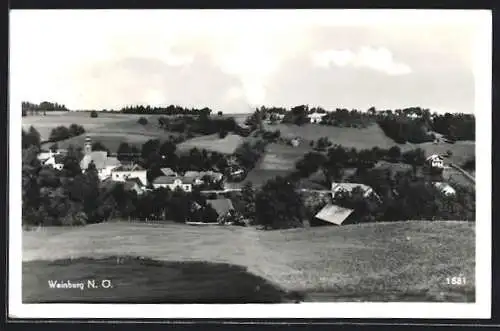 AK Weinburg /N.Ö., Totalansicht