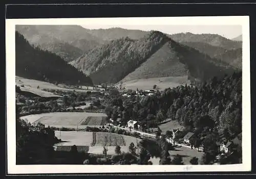 AK Türnitz, Lehenrotte, Ortsansicht vor bewaldeten Bergen