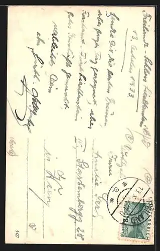 AK Türnitz /N.-Ö., Ortspartie in Freiland