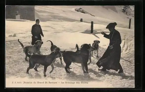 AK Bourg-Saint-Pierre, Hospice du Grand St. Bernard, Le Dressage des Chiens, Bernhardiner