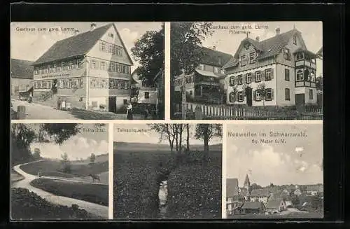 AK Neuweiler / Württ., Gasthaus zum goldenen Lamm, Teinachquelle, Privathaus & Teinachtal