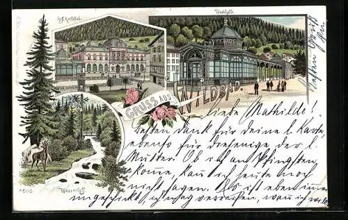 Lithographie Wildbad / Württ., Trinkhalle, Königliches Karlsbad, Wasserfall