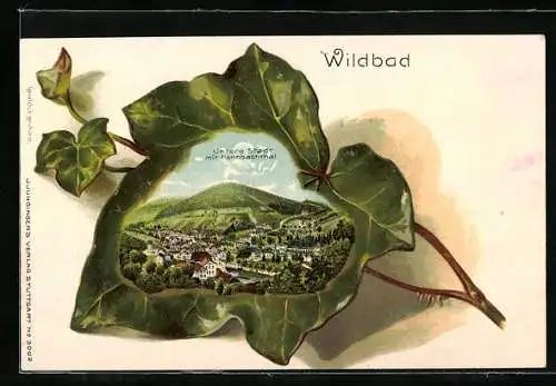 Passepartout-Lithographie Wildbad / Württ., Untere Stadt mit Rennbachthal, Efeu-Ranke