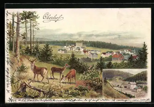 Lithographie Oberhof / Th., Ortsansicht mit Hirschen, Bahnhof