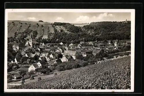 AK Laudenbach / Württ., Gesamtansicht