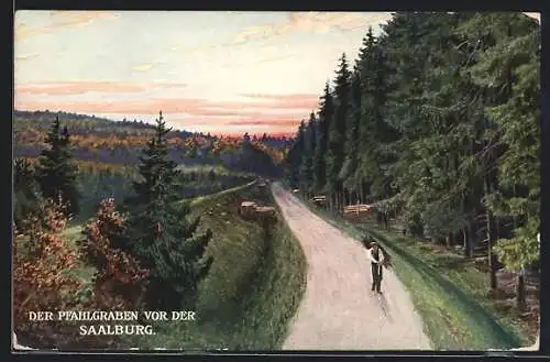 AK Saalburg / Kastell, Der Pfahlgraben mit Wald