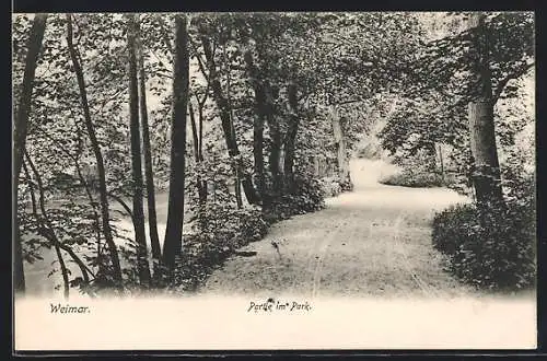 AK Weimar / Thür., Partie im Park