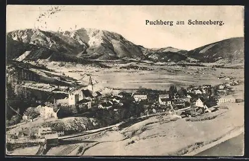 AK Puchberg am Schneeberg, Ortsansicht mit Kirche
