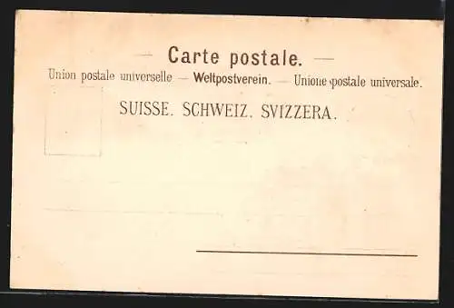 Lithographie Zürich, Rathaus und Flusspartie in der Stadt