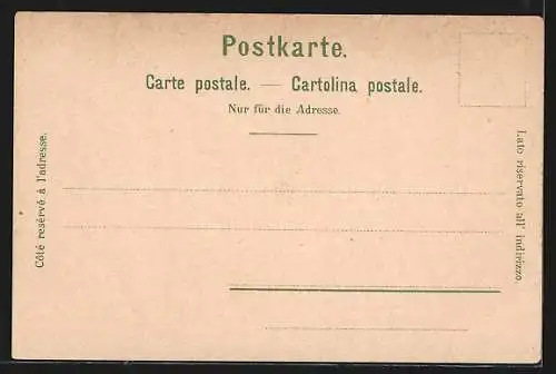 Lithographie Genève, Ville et le Mont Blanc