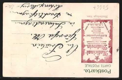 Lithographie Köln, Dom, Erzbischof Ant. Hub. Fischer