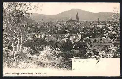 AK Freiburg i. B., Totalansicht mit Bergpanorama