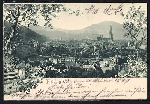 AK Freiburg i. Br., Gesamtansicht