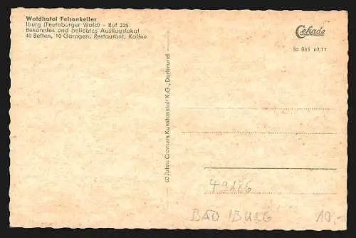 AK Iburg /Teutoburger Wald, Waldhotel Felsenkeller mit Strasse