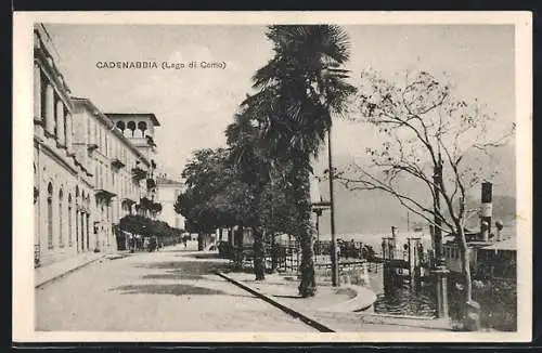 AK Cadenabbia /Lago di Como, Strassenpartie mit Palmen