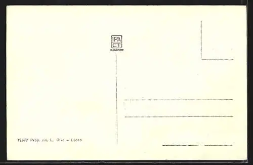 AK Cadenabbia /Lago di Como, Strassenpartie mit Palmen