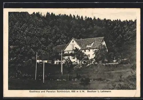 AK Schönbüch, Blick auf Gasthaus und Pension, Bes. L. Lehmann