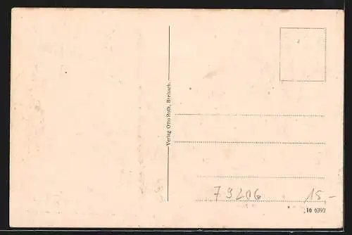AK Breisach, Partie an der Rheinbrücke