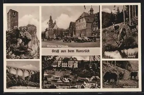 AK Kirchberg / Hunsrück, Wildschweine, Hochbrücke, Rotwild