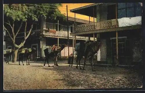 AK Ismailia, Rue Negrelli