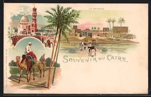 Lithographie Kairo, Kamel und Kühe vor Ile de Rodah, Moschee, Beduinen auf Kamelen