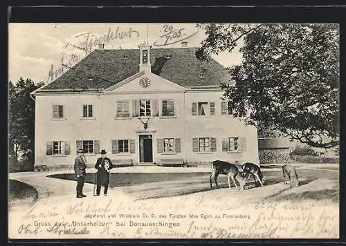 AK Donaueschingen, Unterhölzer Jagdforst und Wildpark des Fürsten Max Egon zu Fürstenberg