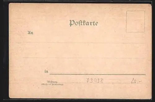 Lithographie Freiburg / Breisgau, Stadtansicht vom Lorettoberg und Siegesdenkmal