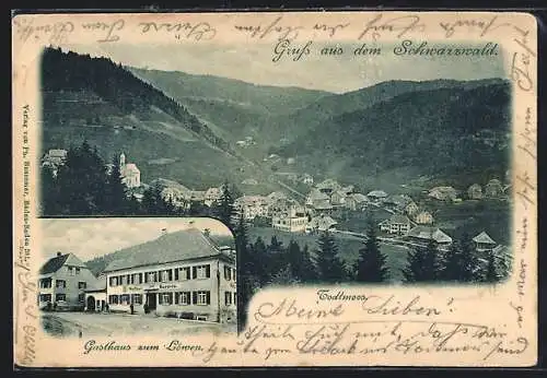 AK Todtmoos /Schwarzwald, Gasthaus zum Löwen, Ortsansicht