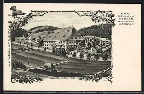 AK Schollach /Schwarzwald, Kurhaus Schneckenhof