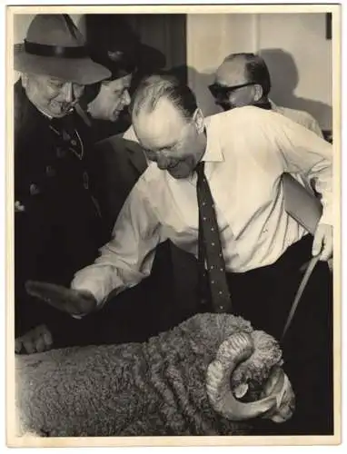 Fotografie Janos Kadar Ministerpräsident von Ungarn mit einem Merino-Schaf 1966