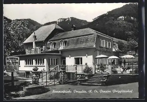 AK Prigglitz /N.-Oe., Pension Prigglitzerhof