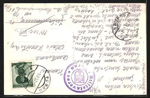 AK Vorau, Teilansicht, Fliegeraufnahme