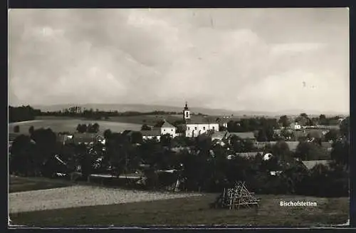 AK Bischofstetten, Ortsansicht mit Kirche und landwirtschaftlichen Rankhilfen