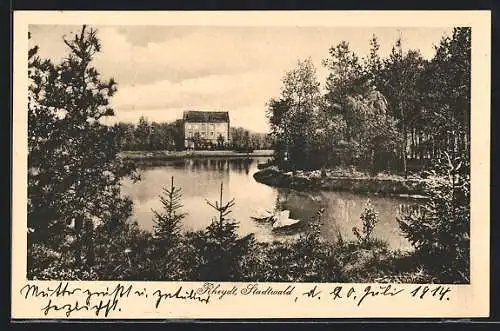 AK Rheydt, Schwäne im Stadtwald