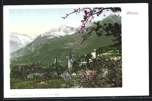 AK Meran, Ortsansicht hinter blühenden Bäumen