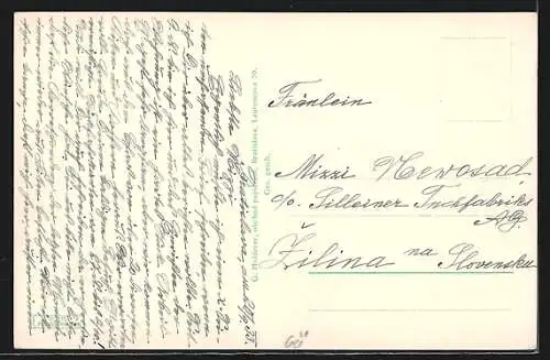 AK Bratislava, Teilansicht mit Burg von oben