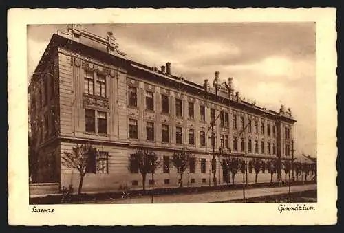 AK Szarvas, Gimnázium
