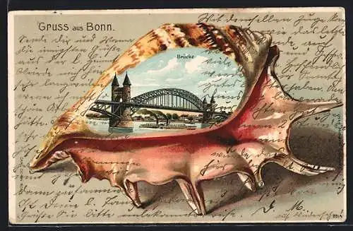 Passepartout-Lithographie Bonn, Raddampfer unter der Brücke, Ansicht in einer Muschel