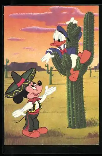 AK Walt Disney, Donald Duck auf Kaktus sitzend, Mickey Mouse mit Sombrero