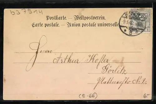 AK Hans und Louise Endres, Humoristisches Gesangs-Duo