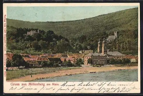 AK Miltenberg am Main, Ortsansicht mit Flusspartie