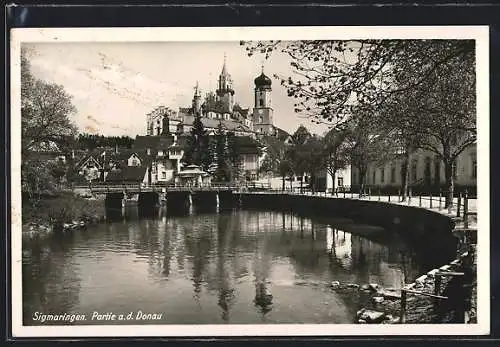 AK Sigmaringen, Partie am Donauufer, Blick zur Kirche