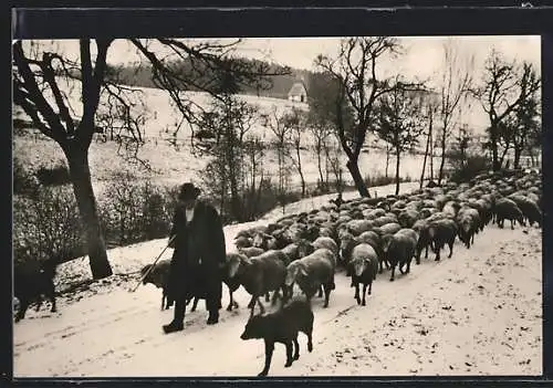 AK Neutsch /Odw., Kriegstoten-Gedächtniskapelle b. Landhaus Am Kleinen Wäldchen